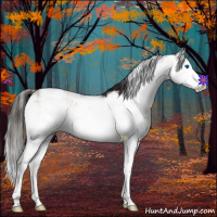 Horse Color:Liver Red Onyx Sabino Splash