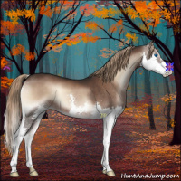 Horse Color:Liver Red Onyx Splash 