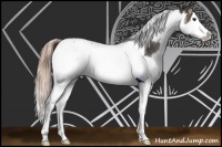 Horse Color:Liver Chestnut Splash Tobiano Rabicano 