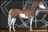 Horse Color:Chestnut Sabino Splash Rabicano 