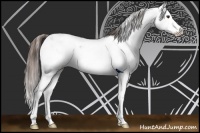 Horse Color:Liver Chestnut Sabino Splash