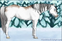 Horse Color:Bay Dun Sabino Splash Frame 