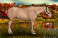 Horse Color:Gold Champagne 