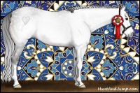 Horse Color:Gray Brown Sabino Splash Frame Rabicano