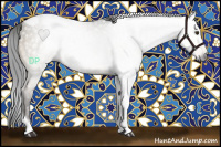 Horse Color:Gray Buckskin Dun Tobiano