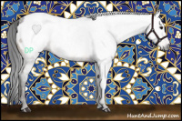 Horse Color:Gray Buckskin Sabino Appaloosa