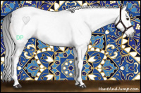 Horse Color:Gray Brown Tobiano