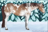 Horse Color:White Spotted Chocolate Brown Dun 