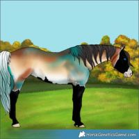 Horse Color:Bay Onyx Splash