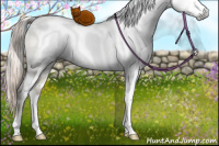 Horse Color:Gray White Spotted Chocolate Palomino Pearl Dun Mushroom Sabino Brindle