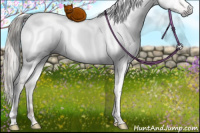 Horse Color:Gray White Spotted Liver Red Dun Ice Mushroom Tobiano Rabicano Brindle 