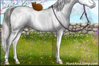 Horse Color:Gray White Spotted Buckskin Ice Pearl Dun Mushroom Splash 