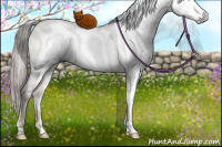 Horse Color:Gray White Spotted Buckskin Pearl Dun Mushroom Sabino Brindle 