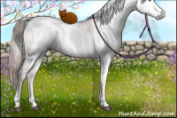 Horse Color:Gray White Spotted Brown Ice Pearl Dun Mushroom Sabino 