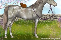 Horse Color:White Spotted Chocolate Palomino Ice Dun Brindle