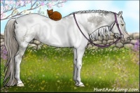 Horse Color:White Spotted Chocolate Palomino Ice Dun Tobiano Brindle 