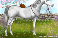 Horse Color:Gray White Spotted Buckskin Ice Pearl Dun Mushroom Rabicano 