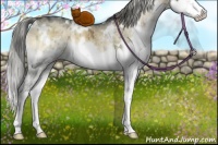Horse Color:White Spotted Chocolate Palomino Ice Onyx Mushroom Splash Brindle