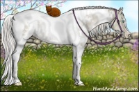 Horse Color:White Spotted Chocolate Palomino Ice Pearl Dun Tobiano 