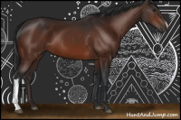 Horse Color:Brown 