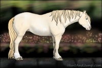 Horse Color:Buckskin Roan Pearl  and Buckskin Roan Pearl Frame 