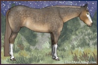 Horse Color:White Spotted Chocolate Palomino Roan 