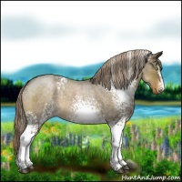 Horse Color:White Spotted Chocolate Palomino Roan 