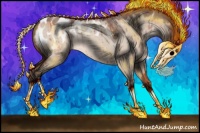 Horse Color:Bay Roan Dun Mushroom Appaloosa Brindle