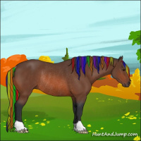 Horse Color:Painted Bay Rabicano 