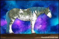 Horse Color:Watercolor Bay Ice Dun Sabino Rabicano 