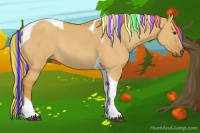 Horse Color:Painted Palomino Dun Tobiano Rabicano