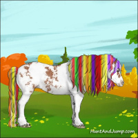Horse Color:Painted Bay Sabino Rabicano 