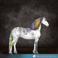 Horse Color:Painted White Spotted Silver Brown Chinchilla Sabino
