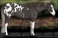 Horse Color:Smoky Black Splash Blanket