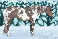 Horse Color:White Spotted Silver Black 