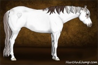 Horse Color:Liver Chestnut Sabino Frame 