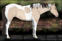 Horse Color:Sable Champagne Roan Dun Tobiano