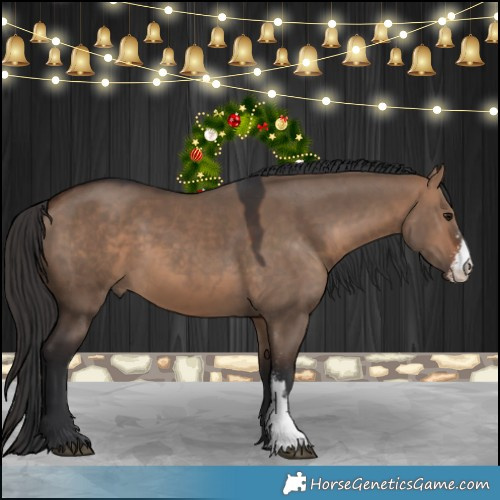 Horse Color:Bay Dun Sabino 