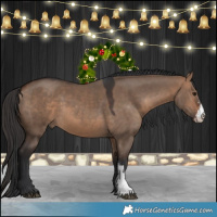 Horse Color:Bay Dun Sabino 