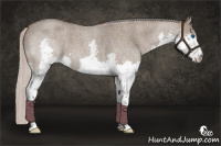 Horse Color:Silver Grullo Roan Splash 
