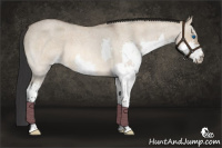 Horse Color:Bay Roan Dun Splash 