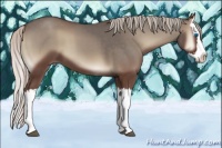 Horse Color:Silver Blue Onyx Splash 