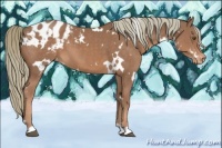 Horse Color:White Spotted Chestnut Mushroom Appaloosa 