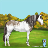 Horse Color:White Spotted Classic Champagne 