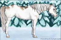 Horse Color:White Spotted Silver Brown Onyx Sabino Splash Frame Appaloosa 