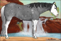 Horse Color:Black Splash