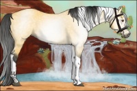Horse Color:Gray Buckskin Dun Tobiano 