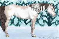 Horse Color:Platinum Sable Champagne Frame 