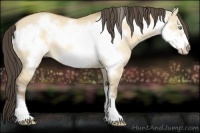 Horse Color:Amber Cream Champagne Dun Frame Rabicano