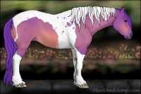 Horse Color:Watercolor Bay Sabino Tobiano 